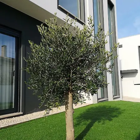 Obidos House With Private Pool *